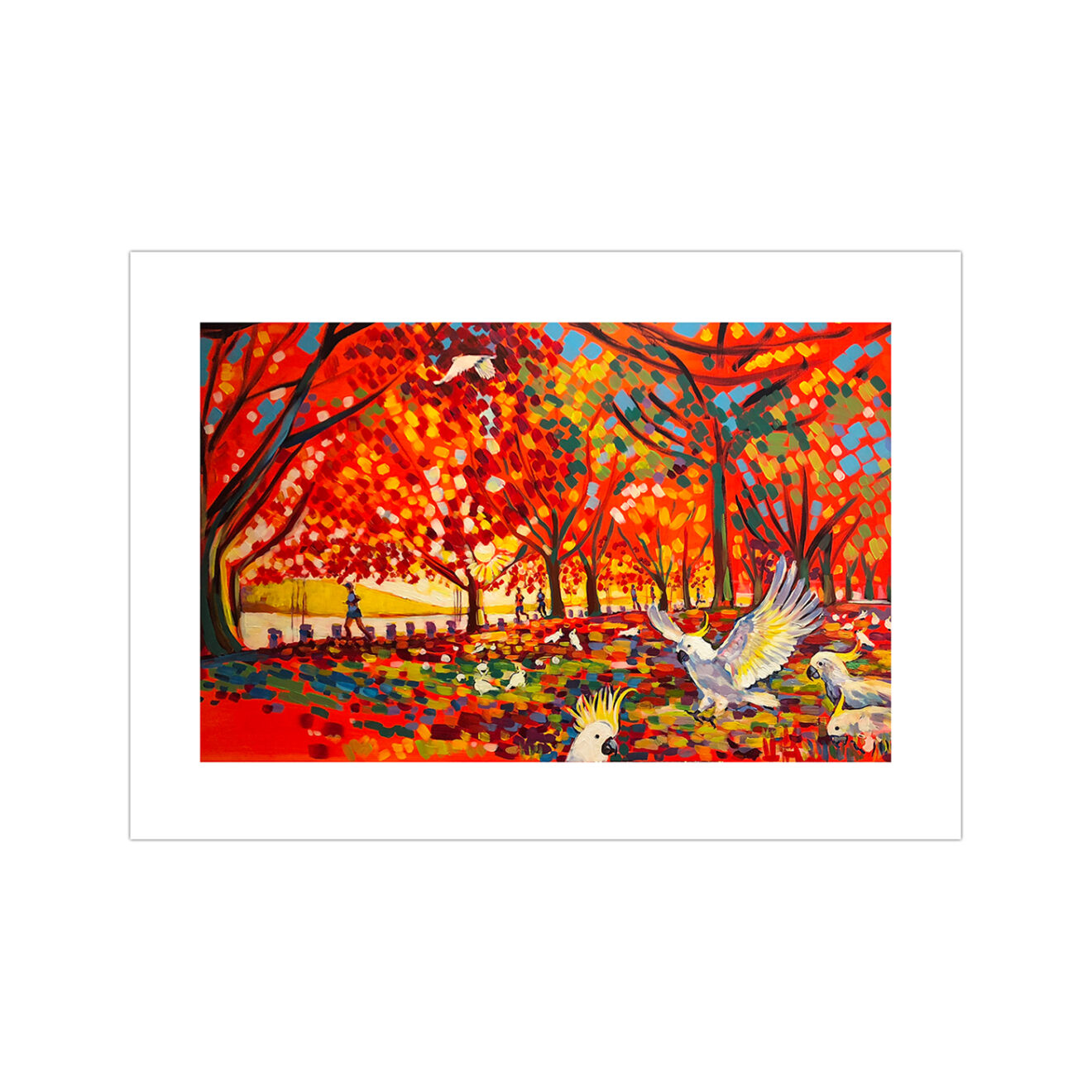 Canberra Spectacular, View From Mount Painter Canberra.Art