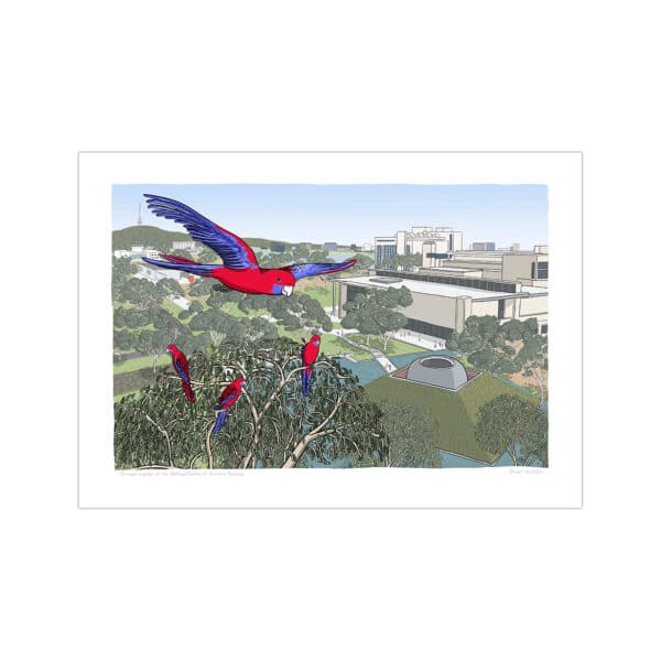 Canberra Art Prints for Sale Local Artists and Photographers